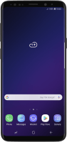 Samsung Galaxy S9+