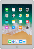 iPad (5th generation)