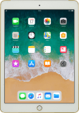iPad Air 2