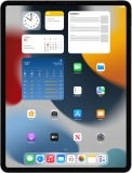 iPad Pro 12.9 (2020)