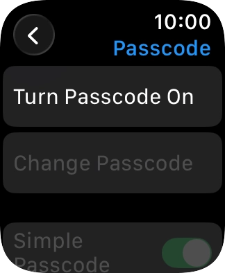 Press Turn Passcode On and key in a lock code of your own choice twice.