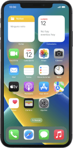 Apple iPhone Xs Max