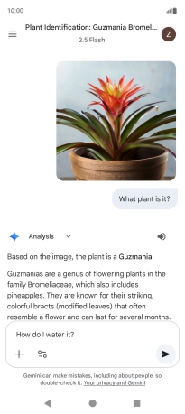 Follow the instructions on the screen to type or speak more questions to continue the conversation.