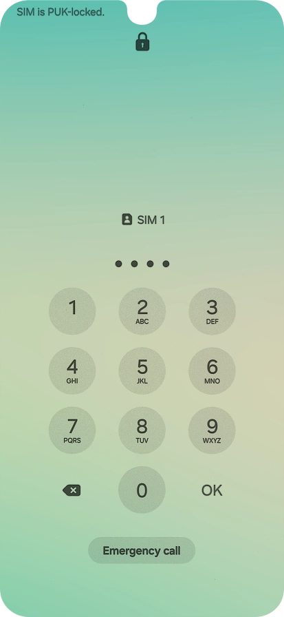 Key in a new four-digit PIN and press OK.