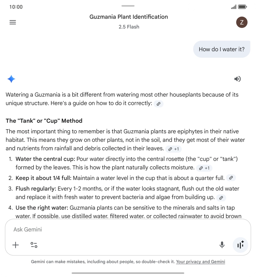 Follow the instructions on the screen to type or speak more questions to continue the conversation.