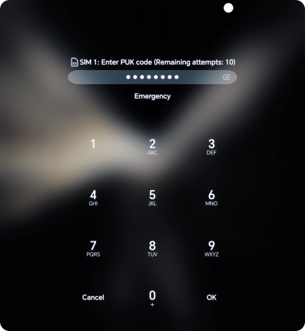 Key in the PUK and press OK.