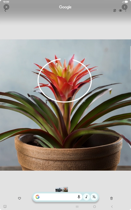 Draw a circle around the required object on the picture and wait for the search results.