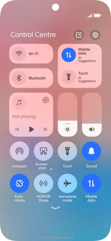 Press the flight mode icon to turn the function on or off.