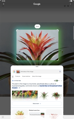 Follow the instructions on the screen to use the search results.