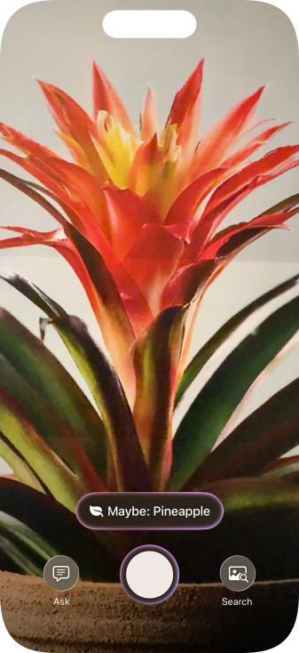 For information about animals and plants, press the information field.