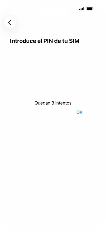 Si es necesario desbloquear la tarjeta SIM, introduce el código PIN y pulsa OK.