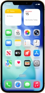 Apple iPhone 12 Pro Max