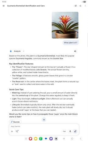 Follow the instructions on the screen to type or speak the required question. You can also attach pictures or documents and ask questions to them.
