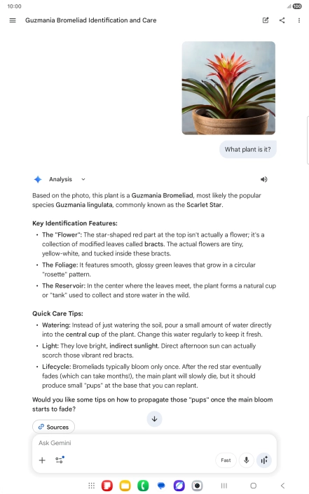 Follow the instructions on the screen to type or speak the required question. You can also attach pictures or documents and ask questions to them.