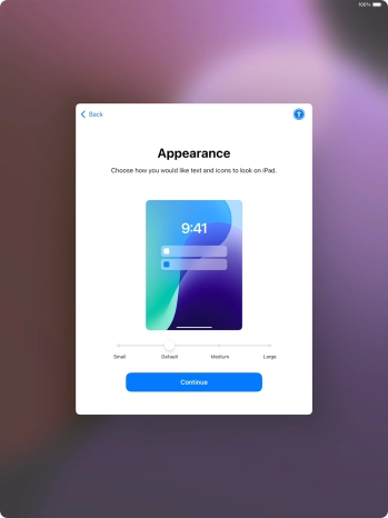 Select the required text and icon size on your tablet and press Continue.