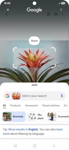 Follow the instructions on the screen to use the search results.