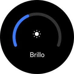 Desliza el dedo por el círculo para seleccionar el brillo deseado.