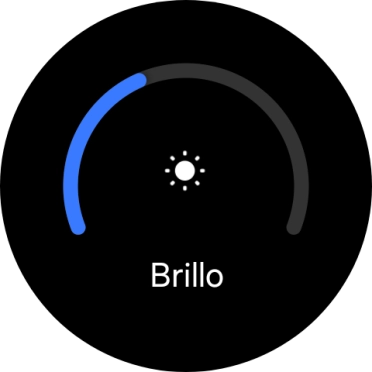 Desliza el dedo por el círculo para seleccionar el brillo deseado.