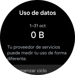 El consumo total de datos se visualiza ahora en la pantalla.