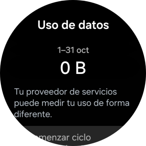 El consumo total de datos se visualiza ahora en la pantalla.
