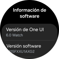 Bajo Versión software aparece la versión de software del smartwatch.