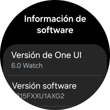 Bajo Versión software aparece la versión de software del smartwatch.