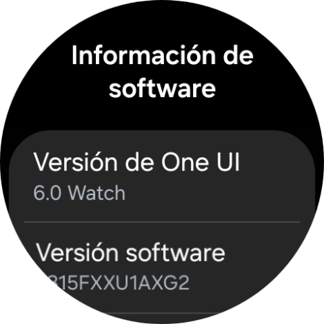 Bajo Versión software aparece la versión de software del smartwatch.