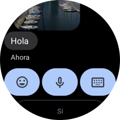 Pulsa el icono de micrófono.