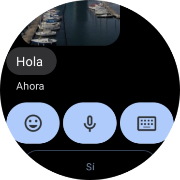 Pulsa el icono de micrófono.