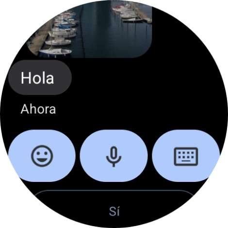 Pulsa el icono de micrófono.