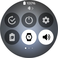 Pulsa el icono de apagar.