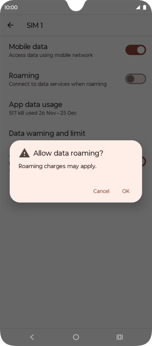 If you turn on data roaming, press OK.