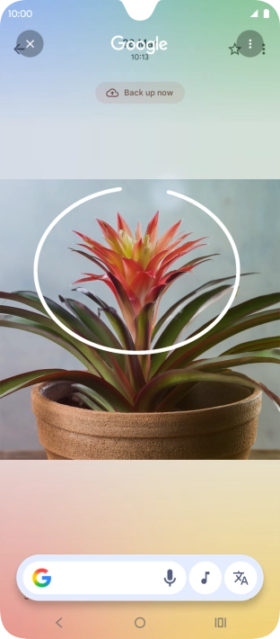 Draw a circle around the required object on the picture and wait for the search results.