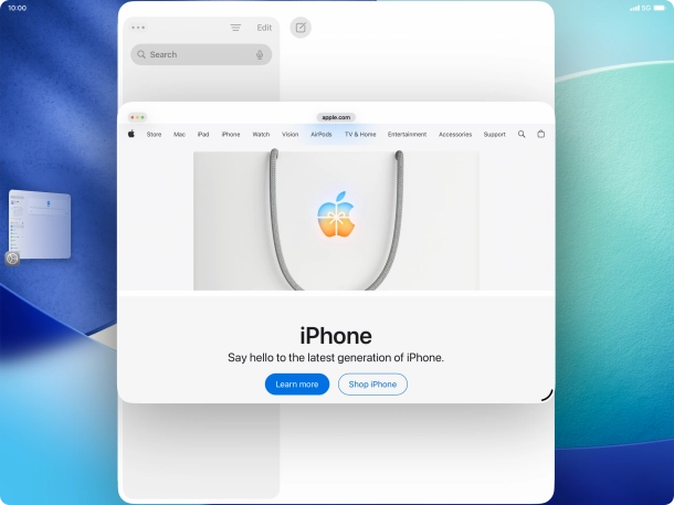 To adjust the size of the application window, press and drag the adjust size icon.