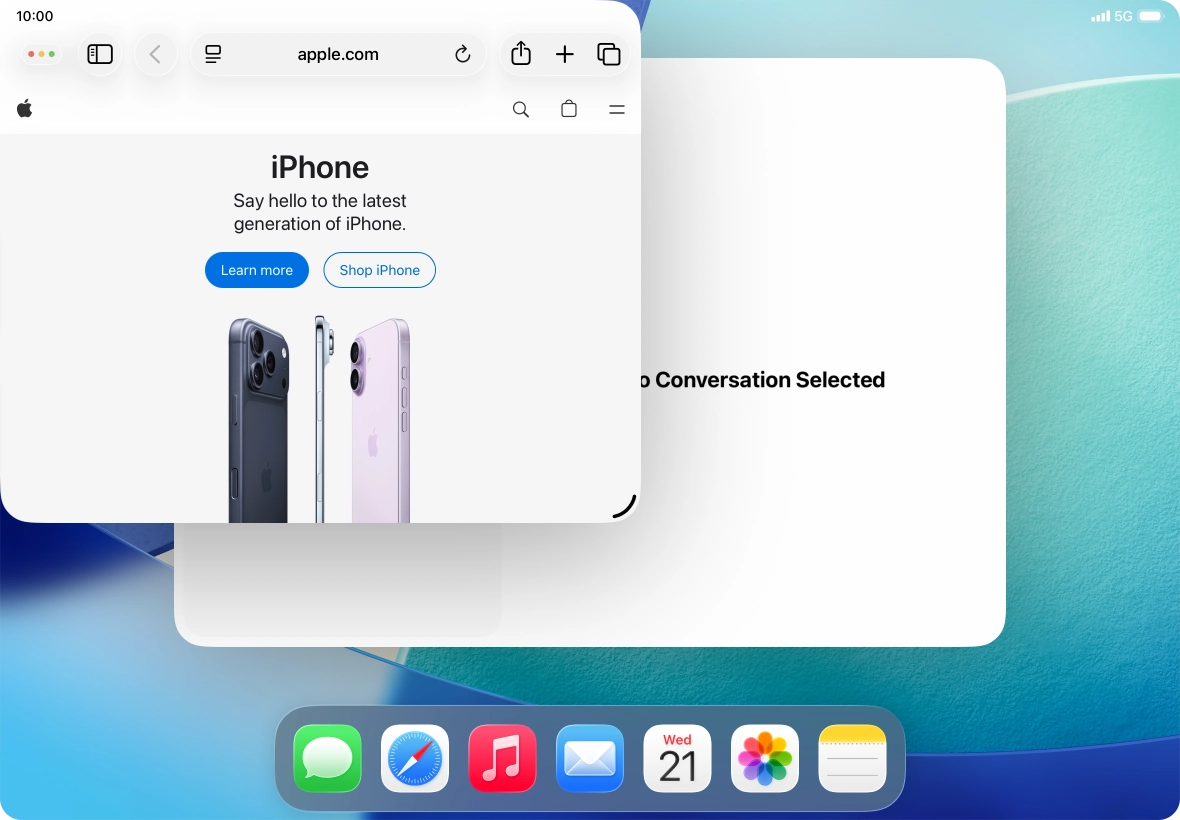 To adjust the size of the application window, press and drag the adjust size icon.