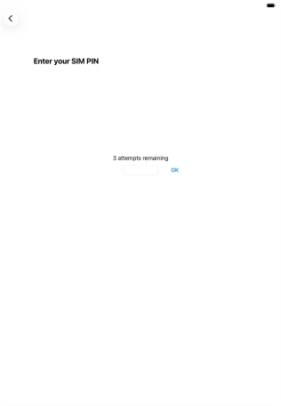 If your SIM is locked, key in your PIN and press OK.