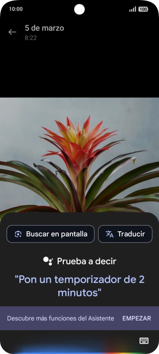 Pulsa Buscar en pantalla y espera a que aparezcan los resultados de búsqueda.
