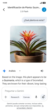 Sigue las indicaciones de la pantalla para escribir o decir en alto la pregunta deseada. Puedes adjuntar fotografías o documentos y hacer preguntas acerca de ellos.