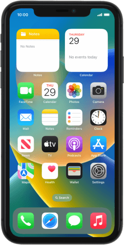 Apple iPhone 11