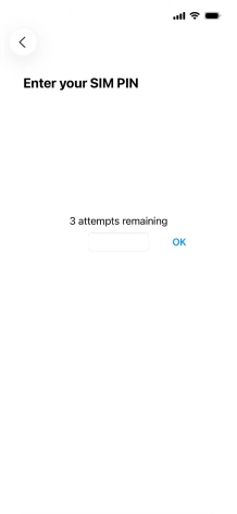 If your SIM is locked, key in your PIN and press OK.