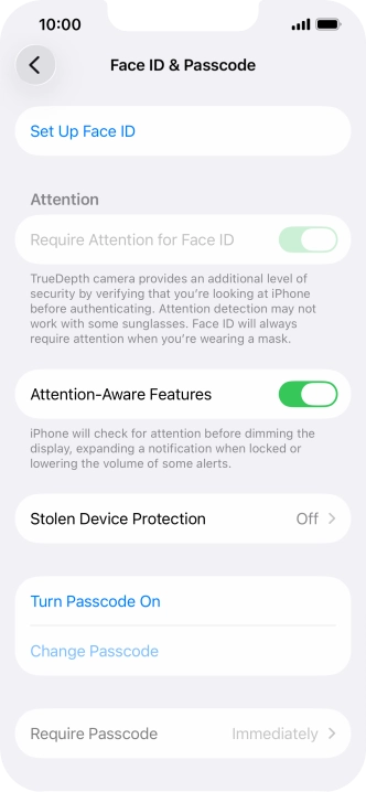 Press Turn Passcode On and key in a phone lock code of your own choice twice.