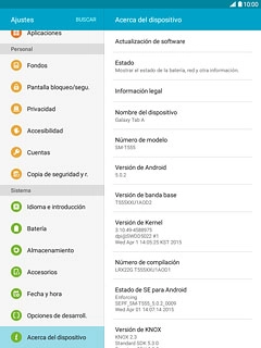 Pulsa Acerca del dispositivo.