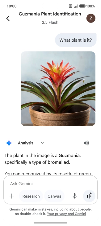Follow the instructions on the screen to type or speak the required question. You can also attach pictures or documents and ask questions to them.
