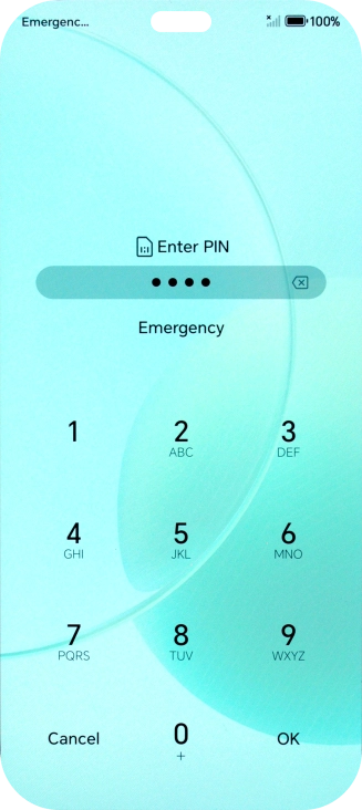 Key in a new four-digit PIN and press OK.