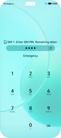 If you're asked to key in your PIN, do so and press OK.