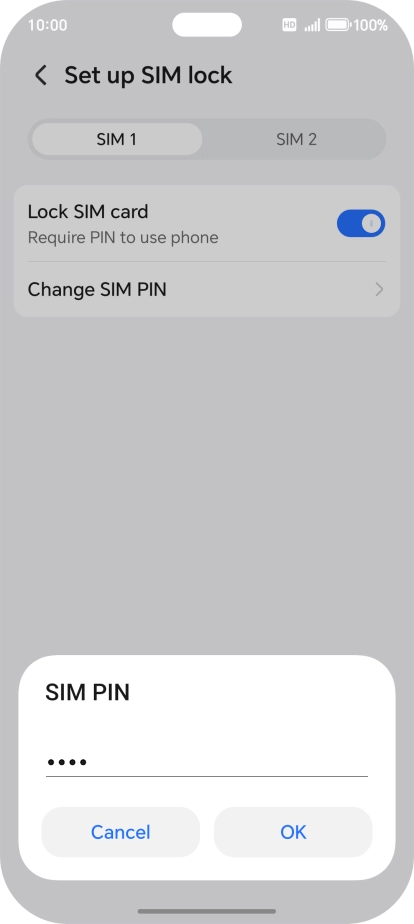 Key in your current PIN and press OK.