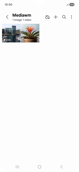Press and hold any picture or video.