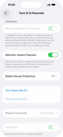 Press Turn Passcode On and key in a phone lock code of your own choice twice.