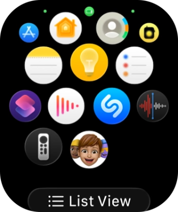 Press the Digital Crown to return to the home screen.
