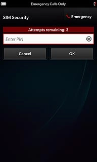 Press Enter PIN.